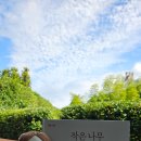 작은나무 이미지