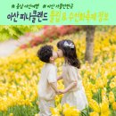 월랑농장 | 아산 피나클랜드 튤립축제 입장료 할인 주차장안내 아산 사진찍기 좋은 곳