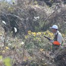 은신목장 이미지