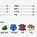 맛있는허브클럽