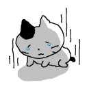 GT휘트니스클럽 이미지