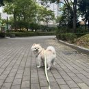 (주)스튜디오뭉치 네이버블로그