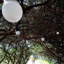 올레 두번째이야기 이미지