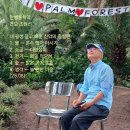 만병통치 이미지