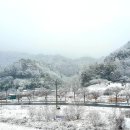 평지