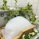 멍블리 네이버블로그