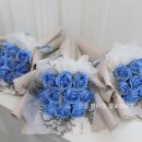 플로라온 이미지