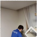 매봉산1길 | 평택세탁기청소 꼼꼼함의 끝판왕, 우먼꼼꼼크린의 청소 후기