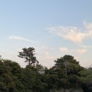 쇠소깍 천일펜션 네이버블로그
