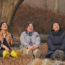 봄날;씨