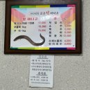 금강산아나고 이미지