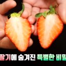 박현농장 이미지