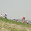 싱싱투어 이미지
