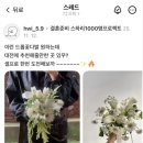 유멜리플라워