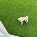 코지독하우스 이미지