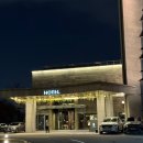 Banyan Tree Club&SPA Seoul Golf | 서울 호캉스 추천] ✨ '반얀트리 클럽 앤 스파 서울' 호텔 2탄 | 가는 방법과 체크인 과정, 룸서비스 후기🛎️🚕