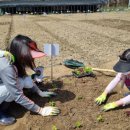 고시농장 이미지