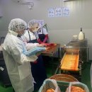 광주시 김장철 식재료·성수품 위생 집중점검[e미래뉴스] 이미지