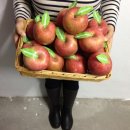 어나더(Another Studio) 이미지