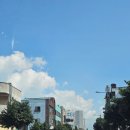 매머드익스프레스서귀포일호 | 서귀포 올레시장맛집 고씨네천지국수 추천메뉴 고기국수와 돔베고기