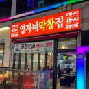 영자네막창집 이미지