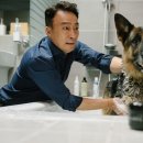 (주)미스터아빠