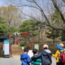 숲과 친해지는 인천대공원 수목원 탐방 | 서울, 인천 숲체험 후기! 인천대공원 재밌는 자연관찰!