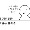 일호족발