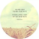 피네