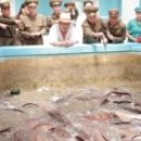 관영농장 이미지