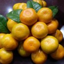 웰빙쇼핑몰 이미지