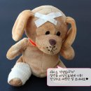 동신의료기 이미지