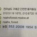 노아의숲 이미지
