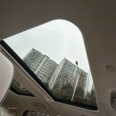 대형카세차장 | 안성 손세차장 추천 공도 조이카 광택 세차장