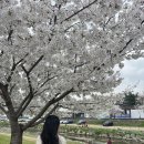 헤어솔루션 | 유성미용실 봉명동 해크니헤어 시세이도 살롱 솔루션 클리닉 후기