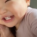 베베톤 네이버블로그