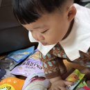 꽃뱅이정원 | 10월의 세상에 산다는 게 정말 기쁘지 않아요? / 30대 프리터족의 10월 월간 일상 / 적당한 외출은...