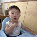 능이 마루 | [춘천] 춘천 해물마루 점심특선 후기! 능이삼계탕 & 능이해물뚝배기 든든한 한 끼