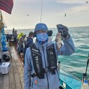 한바다낚시할인마트 앞 | 최고 선상 우럭낚시 군산원낚시 크라운(CROWN)호 솔직 후기 | 예약 비용 승선절차 낚시방법 신성놀음...