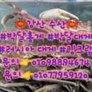 강산마스타