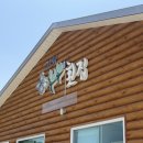 하나횟집 | 고성 물회 맛집 부부횟집 후기｜시원한 물회와 회덮밥 먹고 온 내돈내산 찐후기(맛있지만 속터짐)