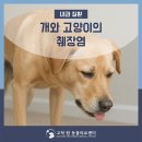 고척 원 동물의료센터 이미지