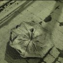 따따블 노래방 이미지