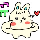 카페평평