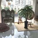 블러썸스튜디오 네이버블로그