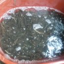 축령산농장 이미지