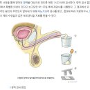 경대에스비뇨의학과의원 이미지