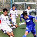 제주서초·제주중·서귀포고·토끼와 거북이, 도내 축구 정상 - 제54회 전도종별선수권 각부 우승 이미지