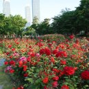 송도 해돋이공원 이미지