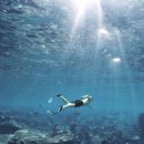 프라이빗리조트 이미지